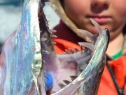 Risky Business Shrimping & Crabbing Charters, Fishing, fishing, fishing