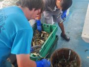 Risky Business Shrimping & Crabbing Charters, Come Catch Your Own Bluecrabs & Shrimp