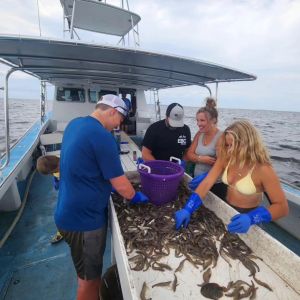 Risky Business Shrimping &amp; Crabbing Charters photo