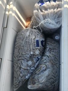 Risky Business Shrimping &amp; Crabbing Charters photo