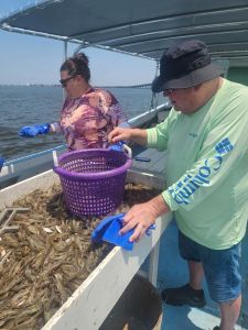 Risky Business Shrimping &amp; Crabbing Charters photo
